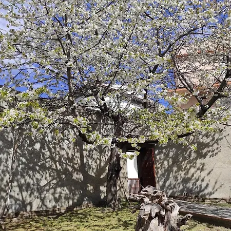 Antica Dimora Palazzo Rovitti 住宿加早餐酒店 *