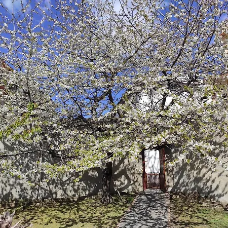 Antica Dimora Palazzo Rovitti