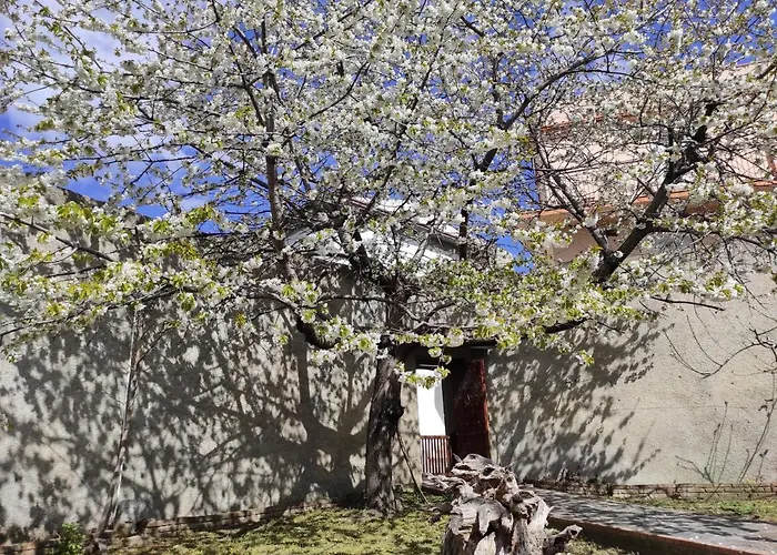 Antica Dimora Palazzo Rovitti فندق مبيت وإفطار *