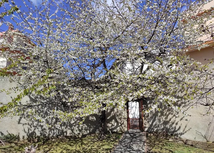 Antica Dimora Palazzo Rovitti